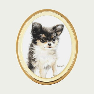 Noritake �m���^�P�f�`�y�b�g�I�[�g�N�`���[�� �f�`���i�ȉ~�j�i��j�t�b�N�t�� �c�ʒu K059L/ACP2 ACP2/K059L ���ʒu K059W/ACP2 ACP2/K059W