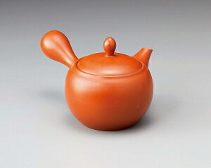 O ݌Ï 2Dی^}{ SHUDEI n T[N 380cc 17695