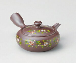 O ݌Ï 1ێᑐ}{ ܂Ɩ 160cc 16059