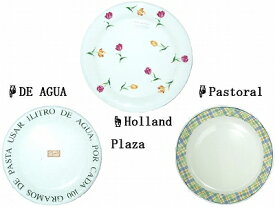 美濃焼 ミート皿 大皿 Holland Plaza DE AGUA デ・アクア Pastoral パストラル【あす楽対応】