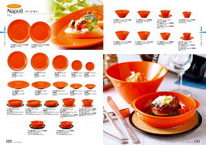 STANDARD Vol.11 i| p[V 13cmM p[V 11-29-6