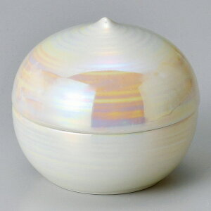 Ƃ 28W Op[I^Wij E082-288