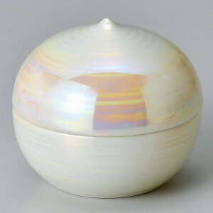 Ƃ 28W Op[I^Wij E082-298