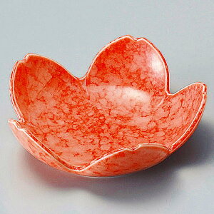 Ƃ 28W `֔^ ~098-058