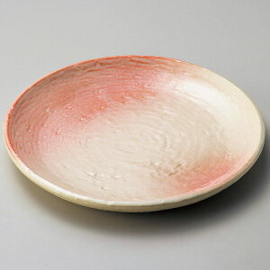 Ƃ 28W u9.0ێM 177-088