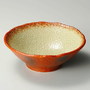 Ƃ 28W ԈɉY8.0 ^251-058