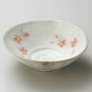 Ƃ 28W ڂό^ij 264-058