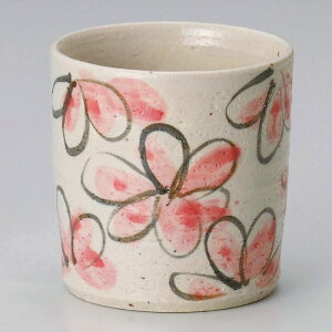 Ƃ 28W ԉFbNJbv 281-058