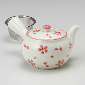 Ƃ 28W iyʁjWႳ}{itj L395-238