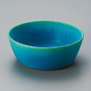 ���� ��31�W �g���R�u���[4.8�� 06608-431