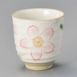  31W uہiԁj 56046-321