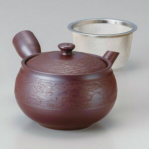  31W 2.0VJ疜Ë}{iJSԕtj 57211-711