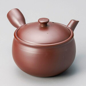  31W 2.0q`nË}{i܂Ɩԁj 57212-711