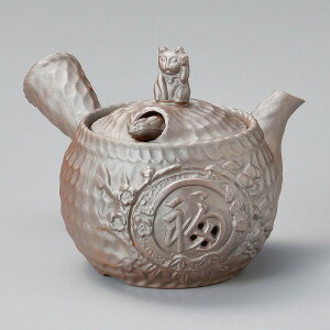  31W Lo}{iۃA~j 57302-721