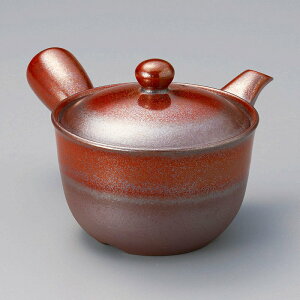  31W 2.0`SԖË}{iԁj 57310-711