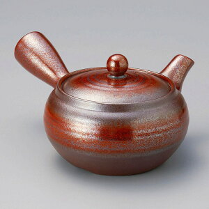  31W 2.0`SԖË}{iԁj 57314-711