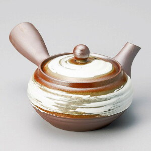  31W ͂ڕ`}{iԁj 57325-721