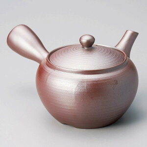  31W 3.0ԂʖË}{i[΂ԁj 57601-711