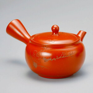  31W D~}{iіԁj 57706-721