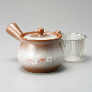  31W W{}{iJSA~j 57805-491