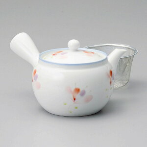  31W Lcĕ̉Ԓ}{iUj 58017-531