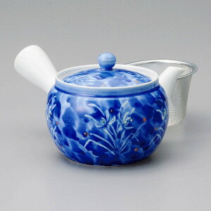  31W LcĈ꒿}{iUj 58020-531