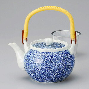  31W ݂8yriA~tj 58323-611