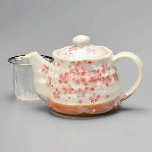  31W |bgiA~tj 58619-601