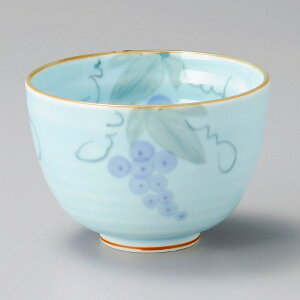  31W 菑Ԃǂp 63120-181