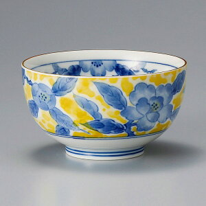  31W ʉԖ䂨Dij 63413-491