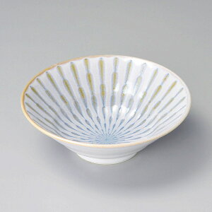  31W tH[JX֓d6.5[ 66616-161