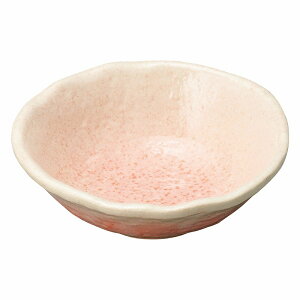  31W u Ԍ`t 76069-461