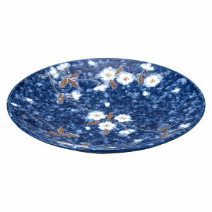  31W iX 7.0M 79410-611