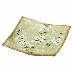  31W q p5.5M 79508-611