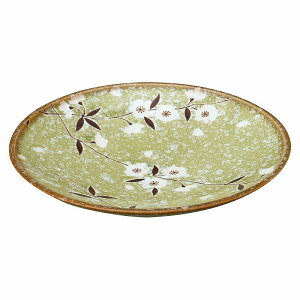  31W q 6.0M 79509-611