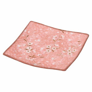  31W sN p5.5M 79558-611