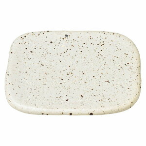  31W pbg _VApbg 19cmpM 80509-461