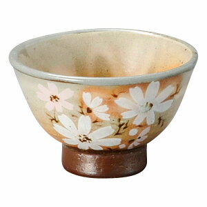  31W {HԁiRXXj 璃 81417-451