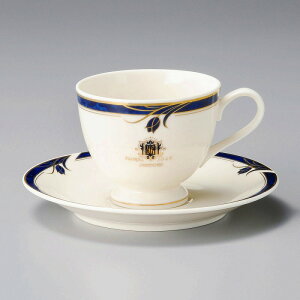 ���� ��31�W �T�t�@�C�A����R�[�q�[��M 94922-331