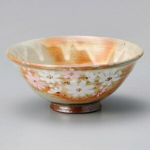  31W {HԒ?i؁je A2610-451