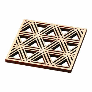  31W Ђ̂זEpR[X^[ӖiEXPhtj A4634-501