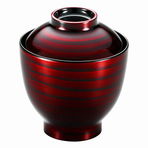 ���� ��31�W ���h�Q�����z�o A5515-761