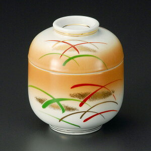  31W ΐ~jނq 19523-081