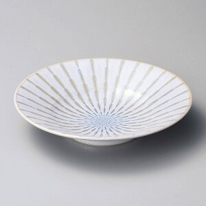  31W tH[JX֓d9.5 29910-161