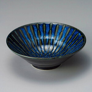  31W tH[JXqύ֓d5.5[ 47419-161