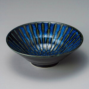  31W tH[JXqύ֓d8[ 47421-161