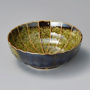  31W \ i[΁je^4.5 47617-161