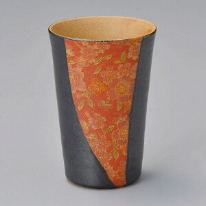  31W ԕijrA`[nC 49816-221