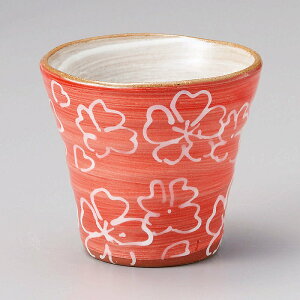  31W }bgԍt[Jbv 50537-281