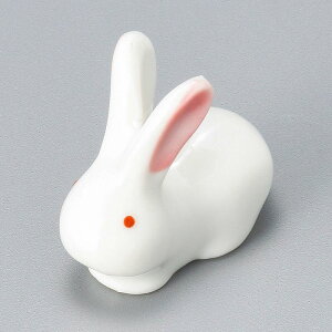 ���� ��31�W �s���N���E�T�M���u 51326-291